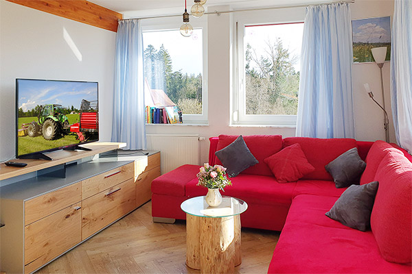 Gemütliches Wohnzimmer mit Sofa