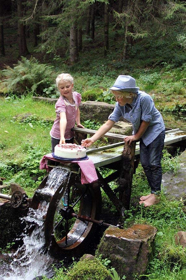 Ferienbauernhof HIRSCHFELD Ferienwohnungen Schwarzwald