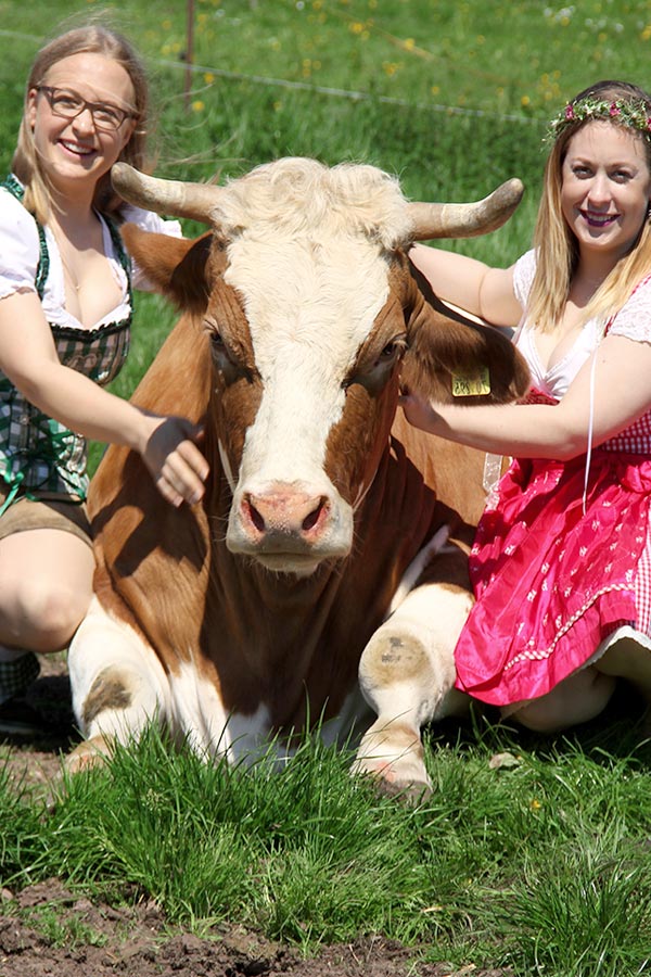 Ferienbauernhof HIRSCHFELD Ferienwohnungen Schwarzwald