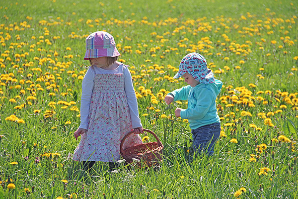 Frühling