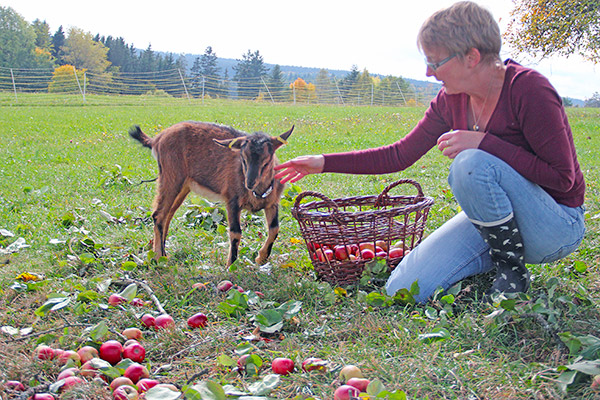 Herbst