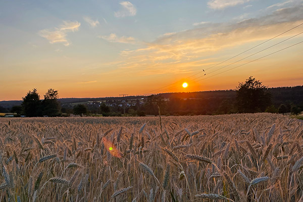 Herbst