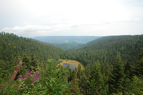 Blick auf den Elbachsee