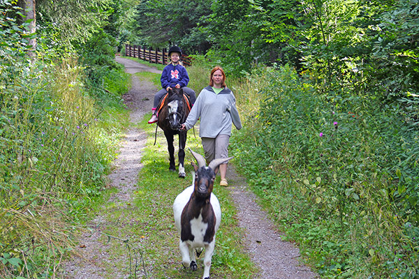 Ponyreiten